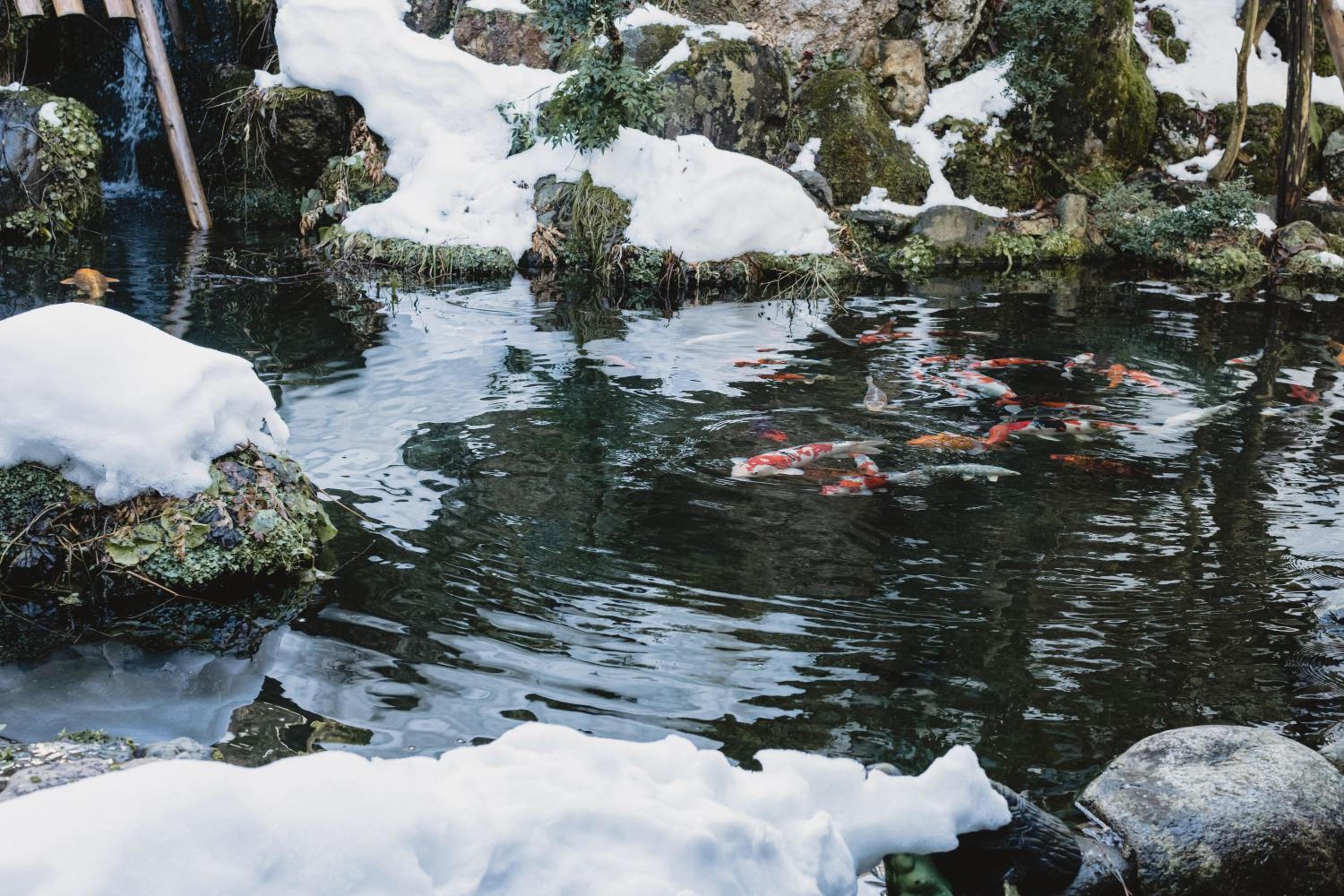 Onogawa Onsen Meiyu no Yado Azumaso 22/26
