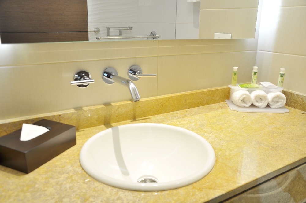 Holiday Inn Express Suites Bogota Dc Ex Zona Financiera 44/53