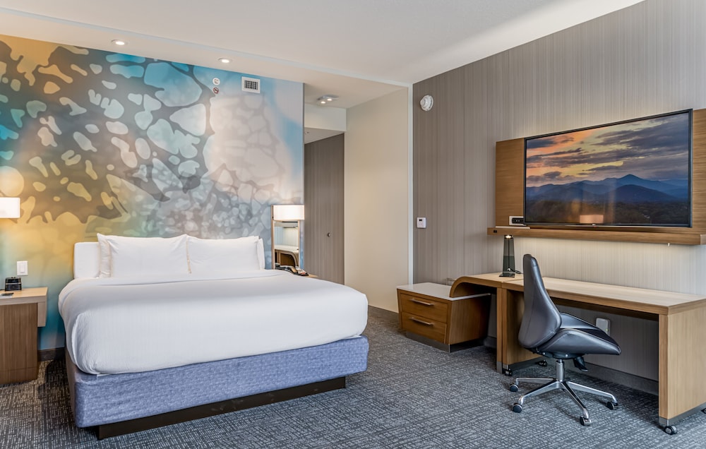Courtyard by Marriott Asheville Biltmore Village 14/57