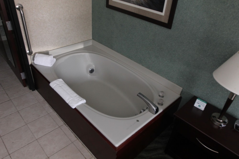 Days Inn & Suites by Wyndham Rochester Hills MI 7/31