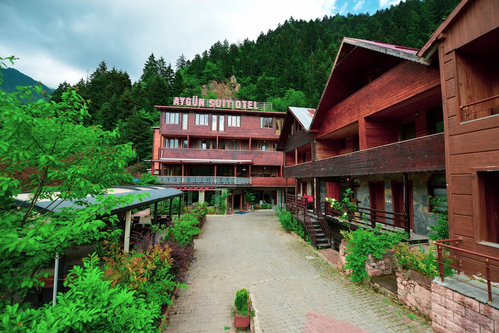 Aygun Suites Hotel & Bungalow Uzungol 39/50