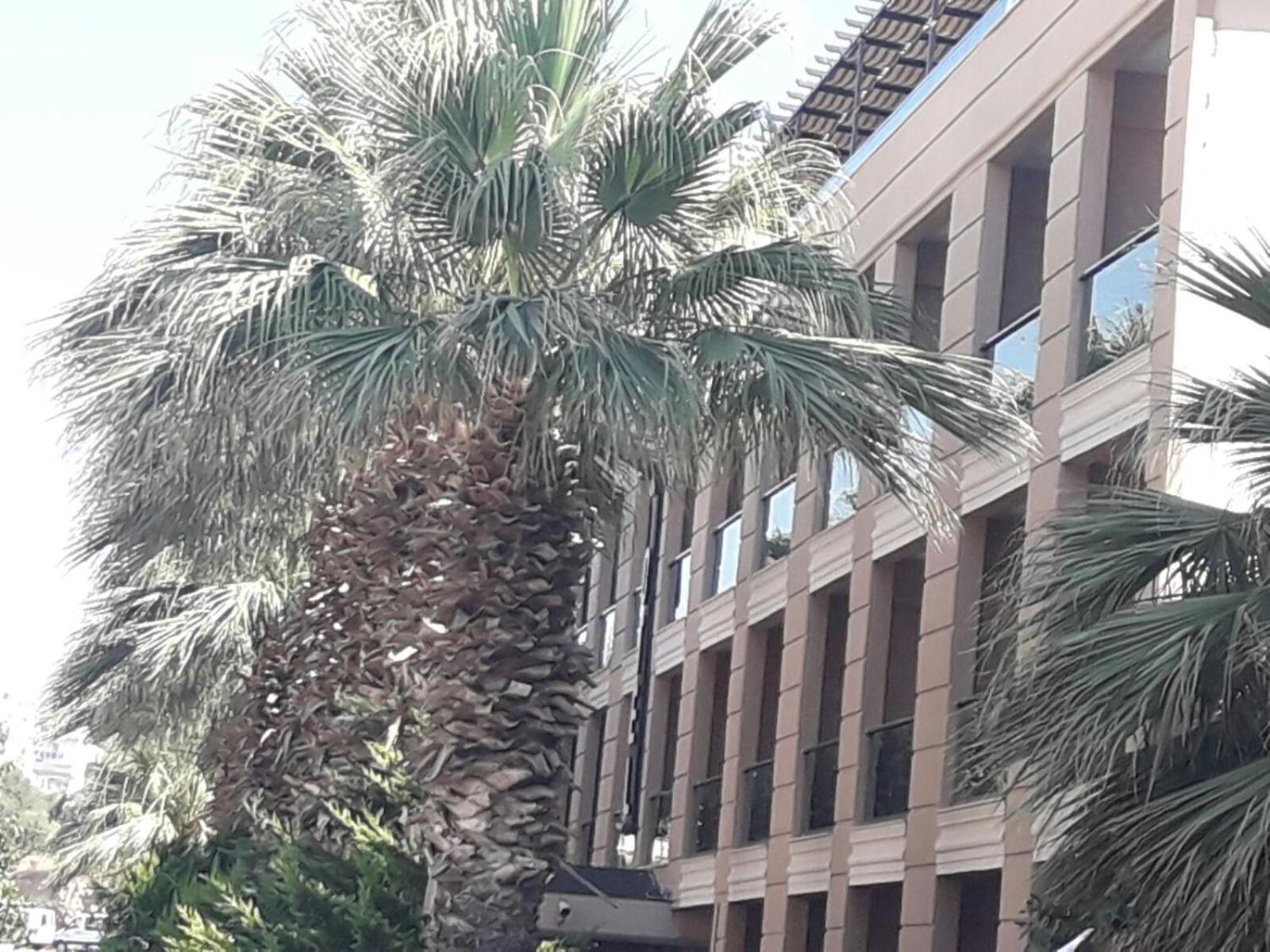 Nazar Hotel 5/41