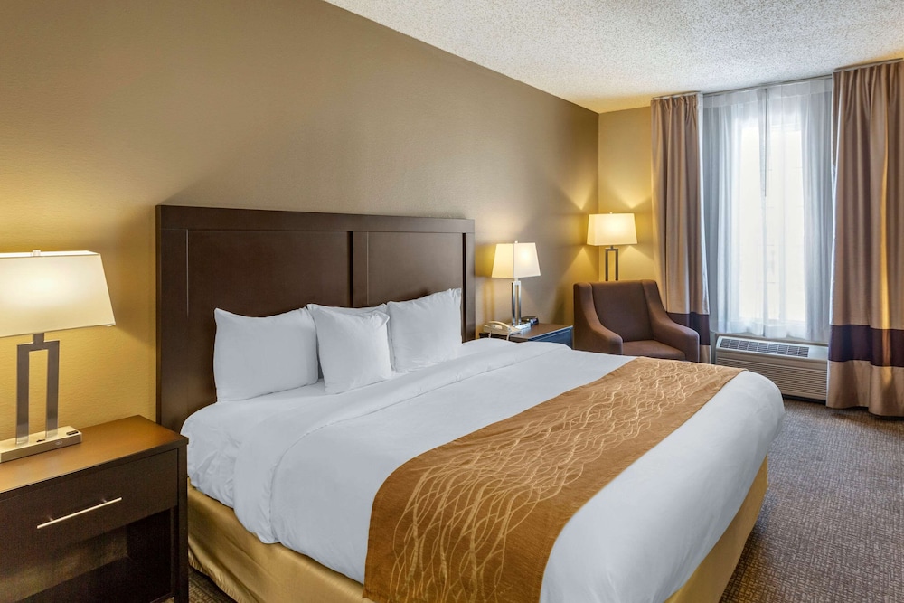 Upgrade, Suite, King Bed, Sofa