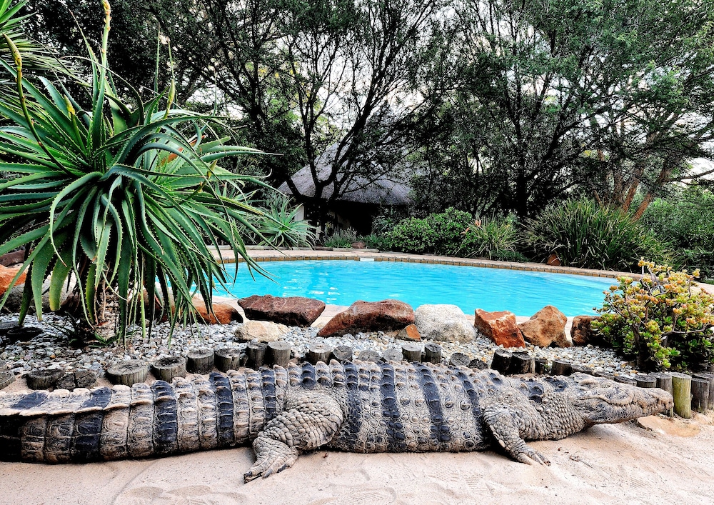 Aquanzi Lodge 26/43
