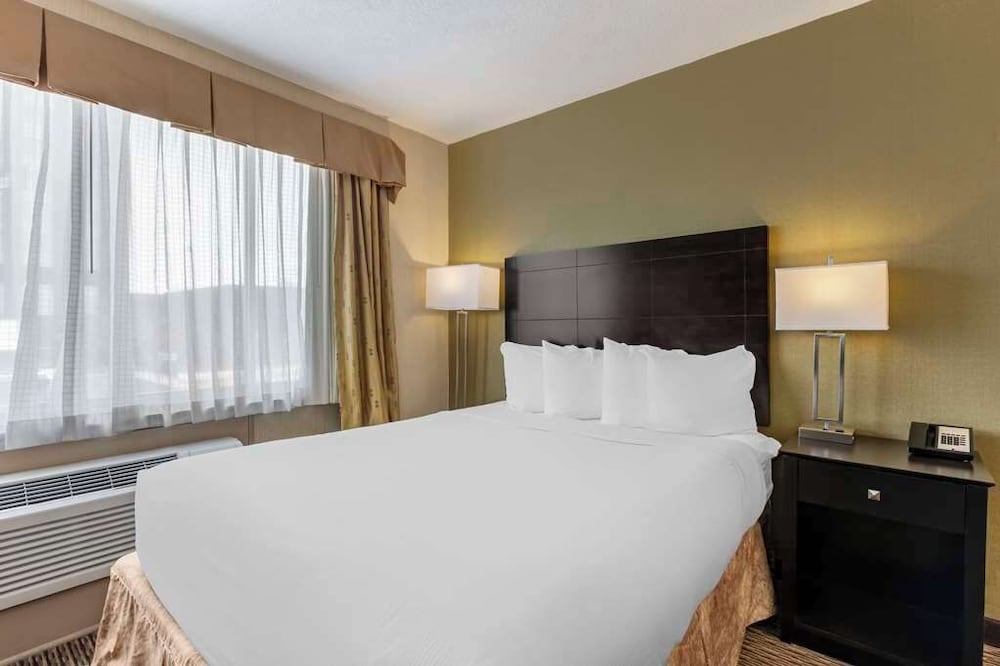 Suite, King Bed, Sofa