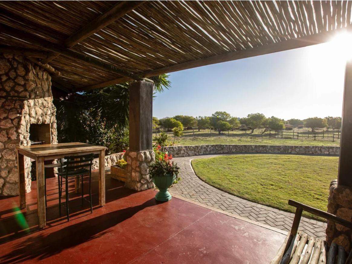 A Touch of Bushveld by the Sea 22/22