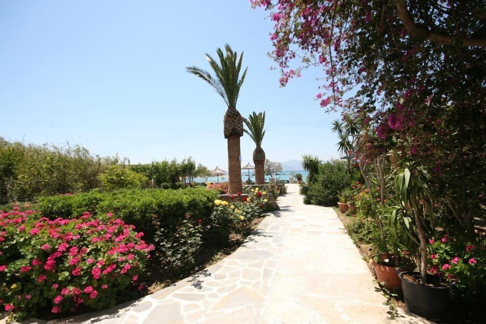 Aghia Anna Hotel 39/41