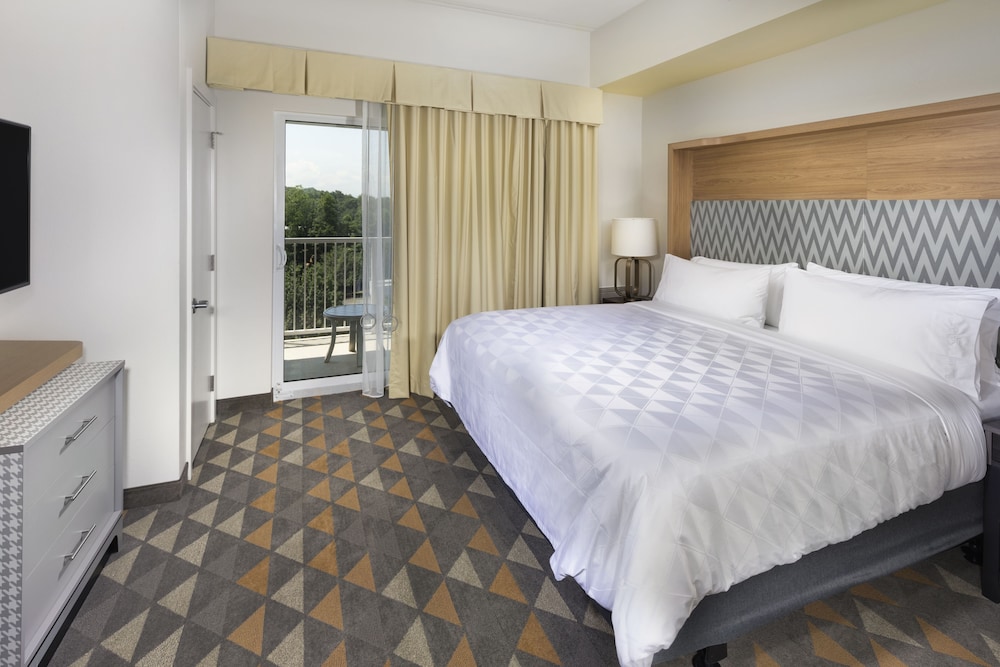 Holiday Inn And Suites Arden Asheville Airport 20/51