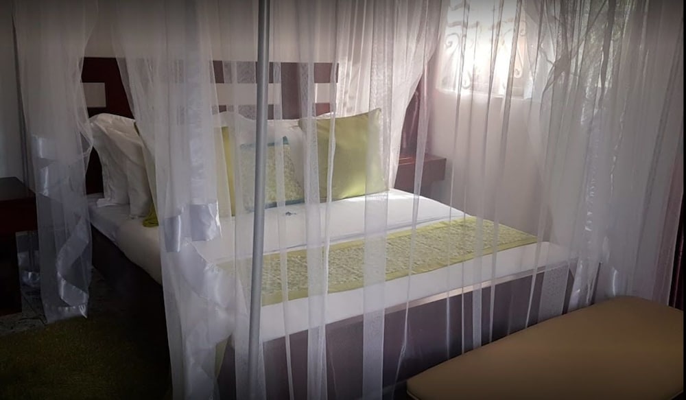 Sheevy's Bed N Breakfast 11/29