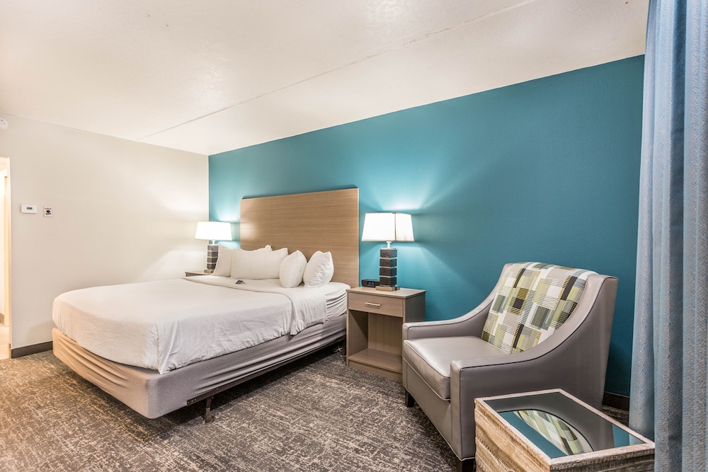 Studio, Suite, King Bed