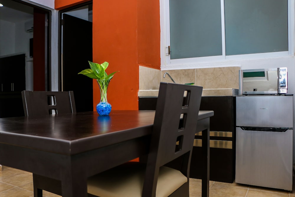 Gayser Apartamentos 11/39