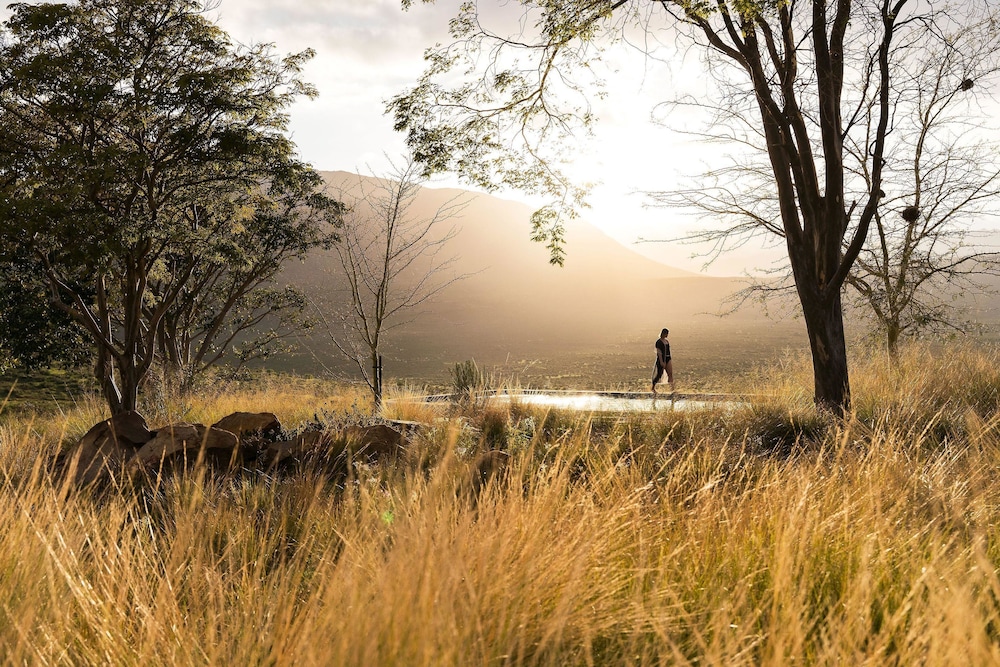 Simbavati Cederberg Ridge 44/50