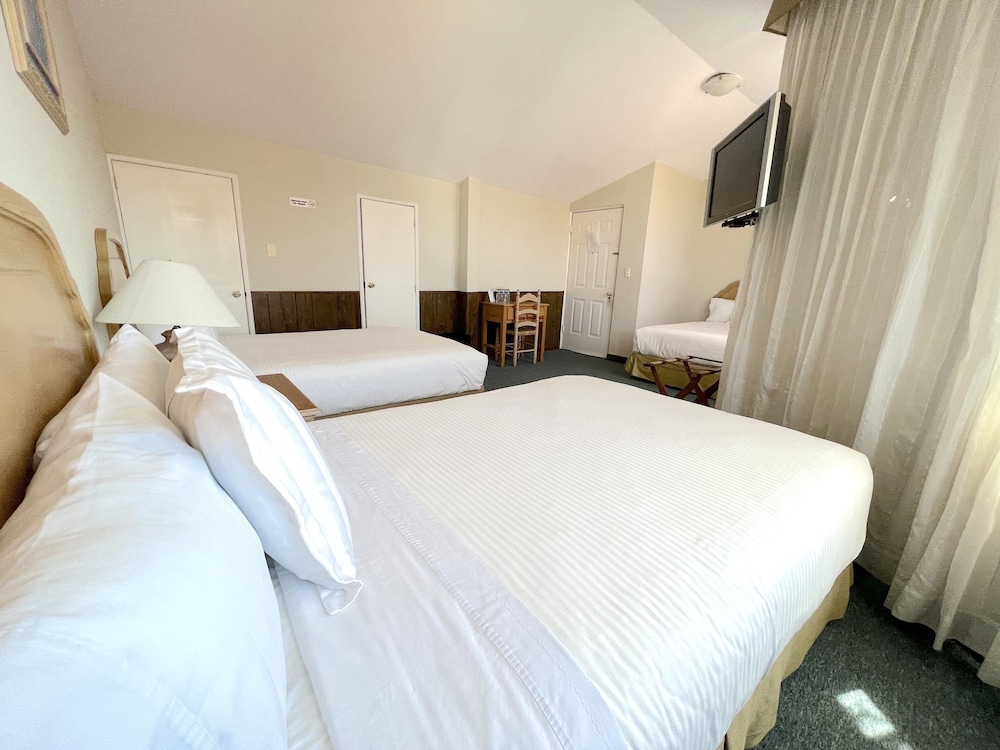 Biohotel 33/67