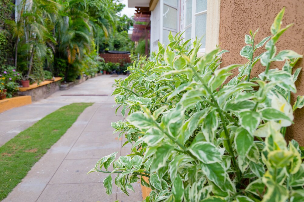 Centrally Located Guest Apartments 17/20