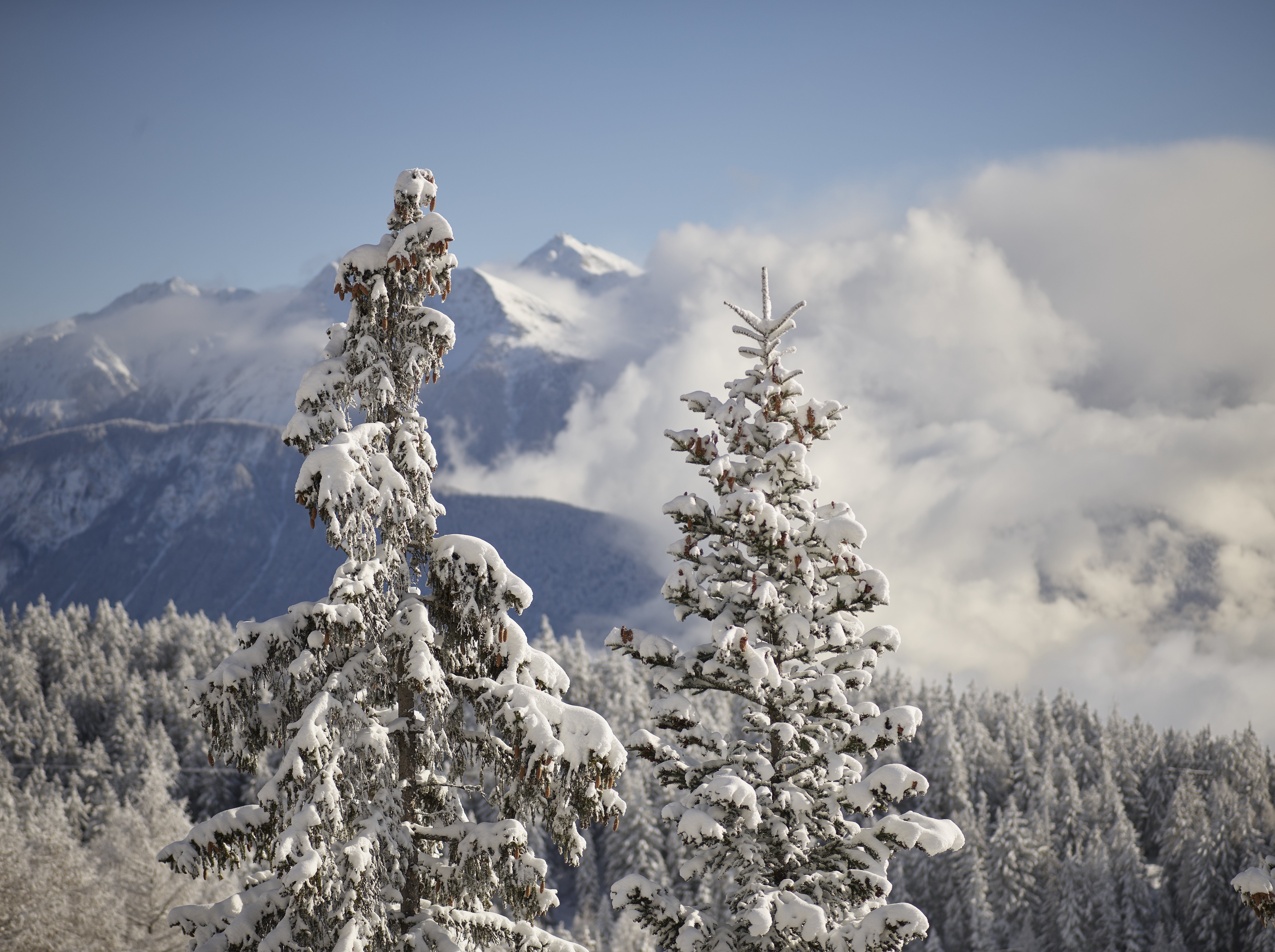 Le Crans Hotel & Spa 45/50