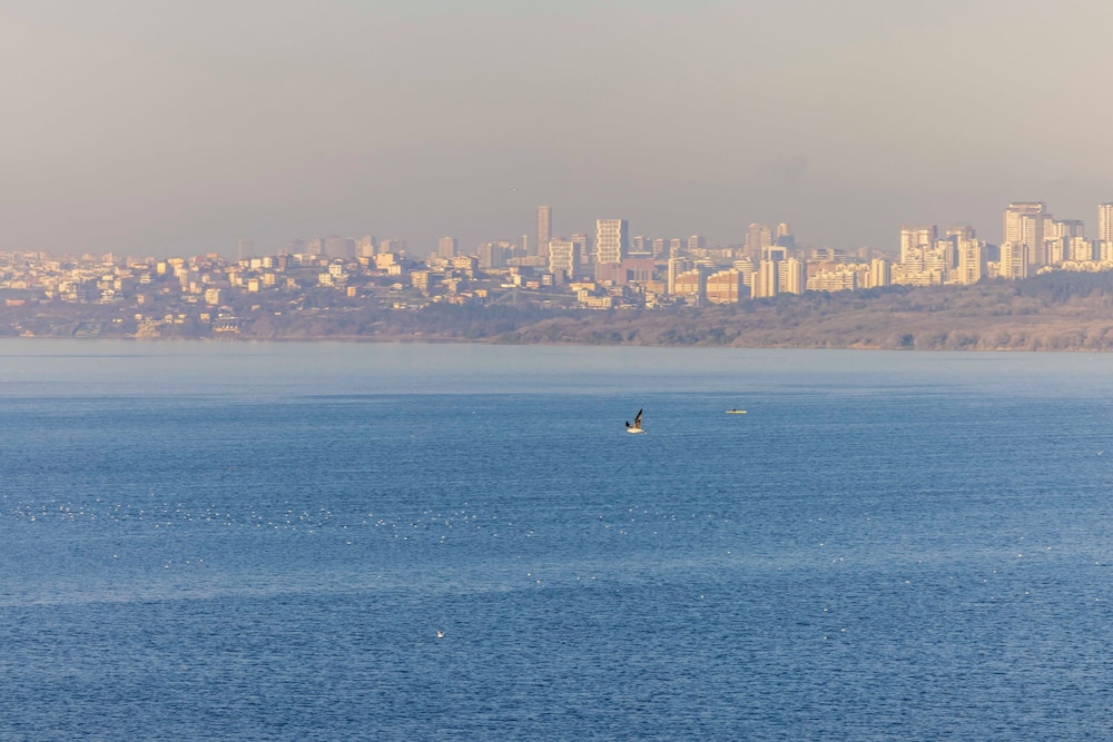 Ezkar Bathonea Art Istanbul Hotel 50/60
