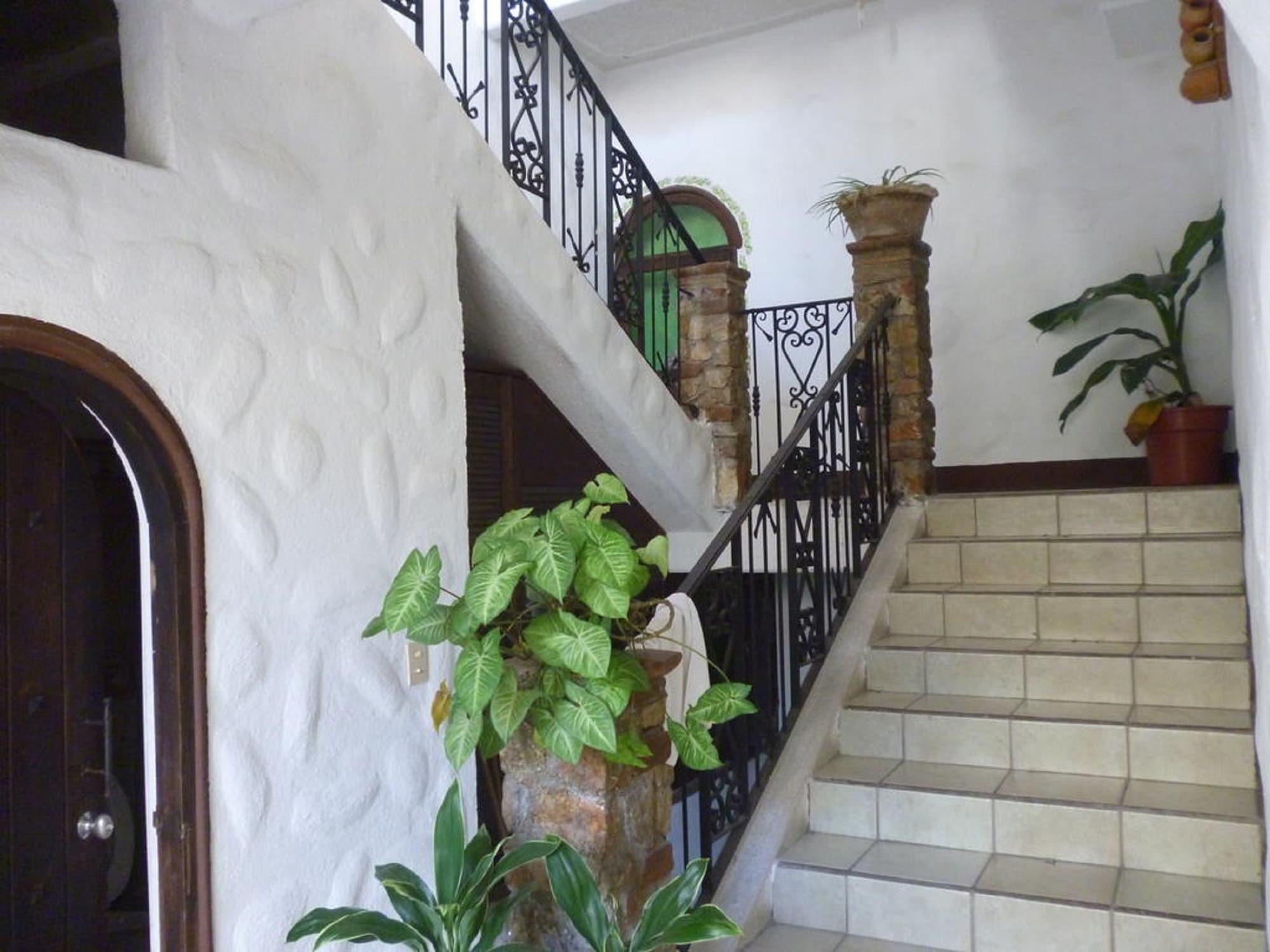 Casa Vieja 6/20