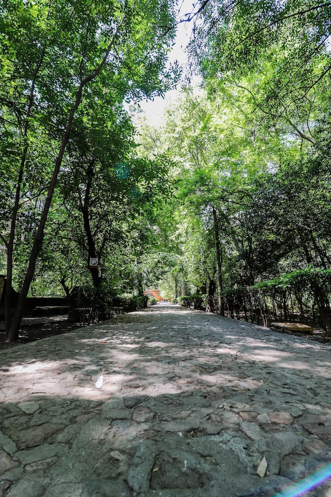 El Marques Hacienda 60/71