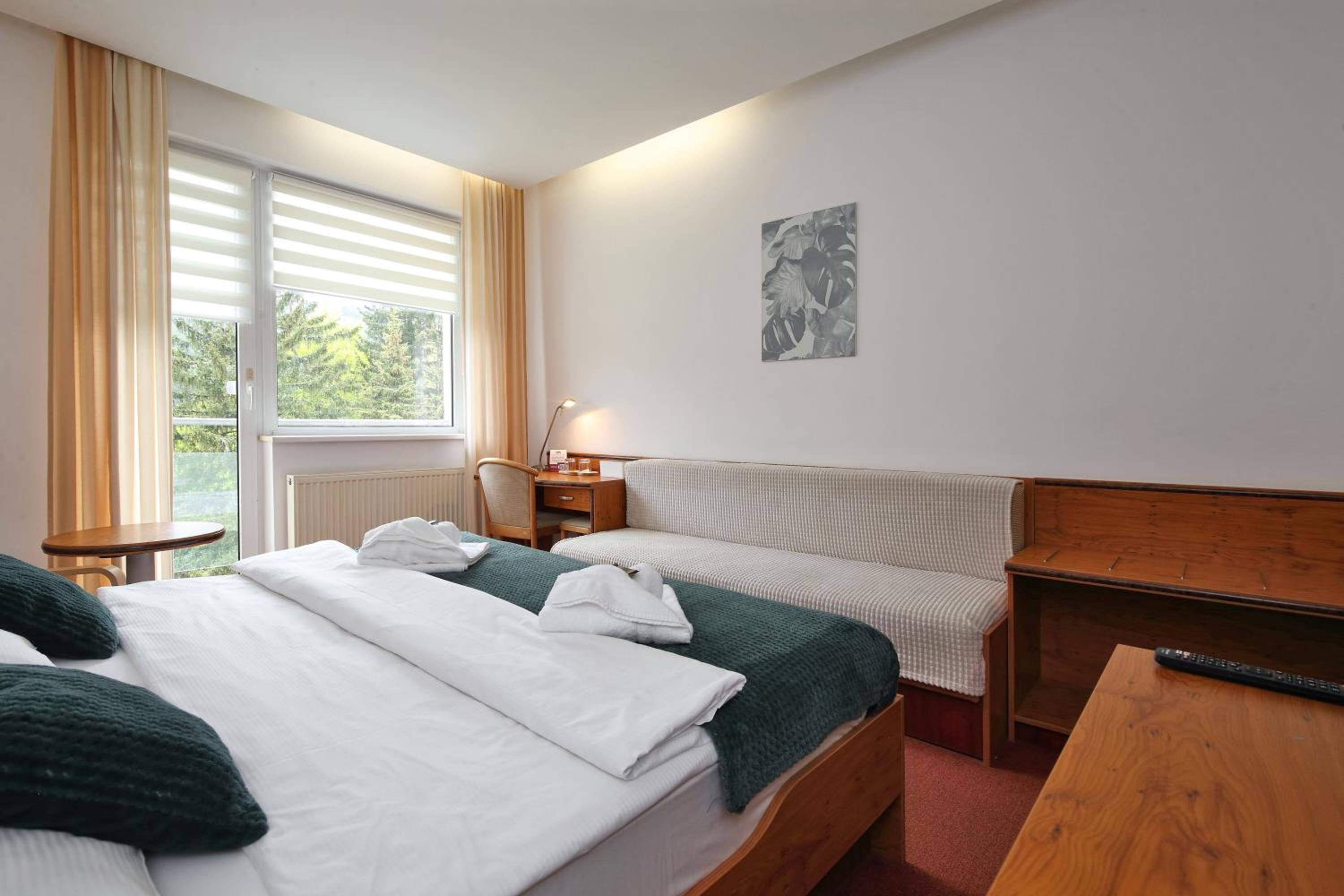 Interhotel Montana 15/58