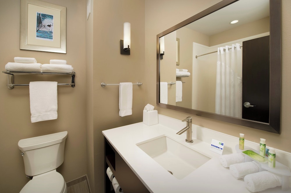 جناح بسريرين كوين مع أريكة، Holiday Inn Express And Suites Waco South 2/3