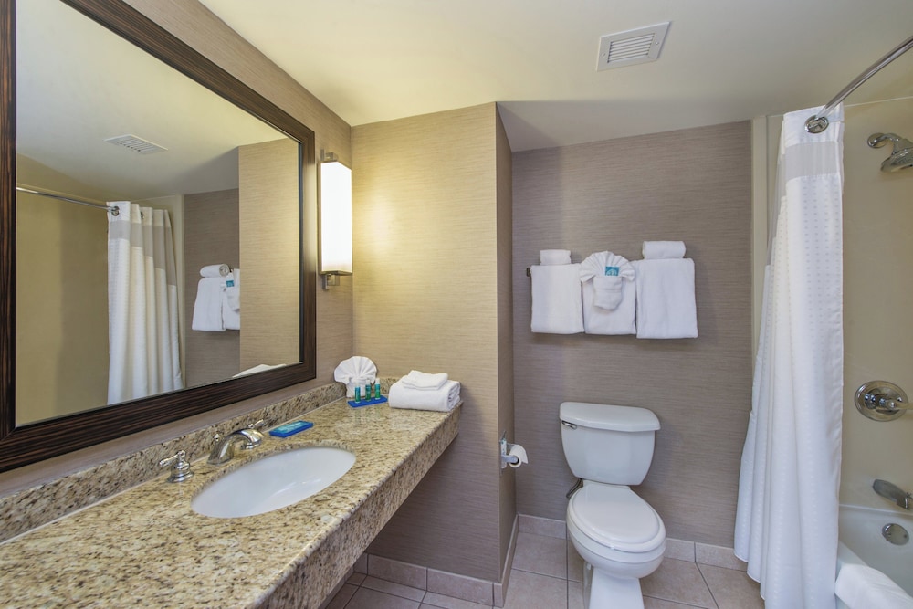 جناح بسرير كينج بغرفة نوم واحدة، Holiday Inn Express Hotel And Suites Auburn 5/5