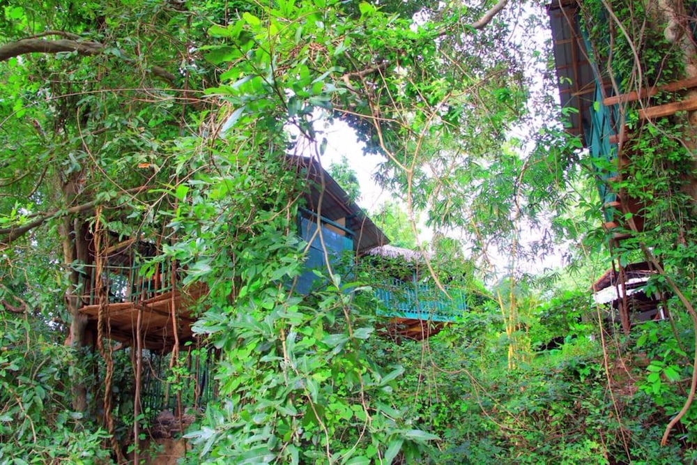Riverside Cabana Yala 43/50