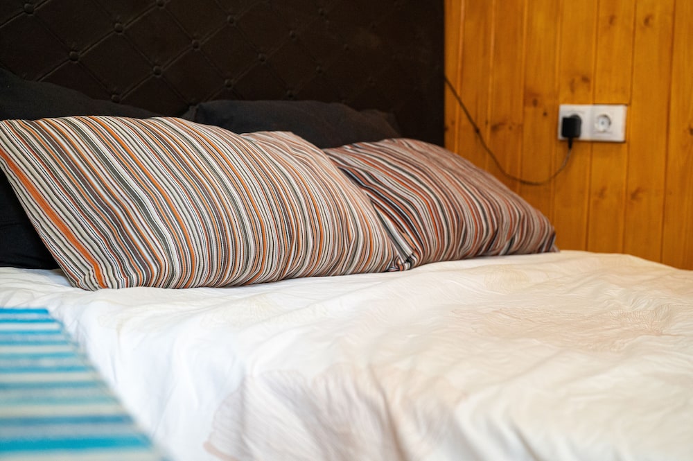 Drago Nest Hostel 18/50
