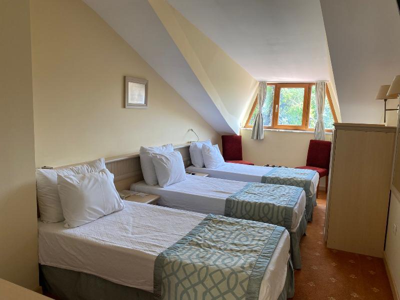 Room, Double Bed, Attic
