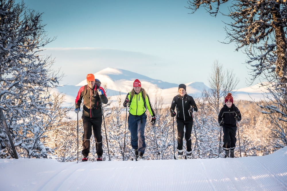 Eriksgardens Fjallhotell 43/50