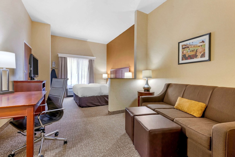Comfort Suites Ocala - North 21/37