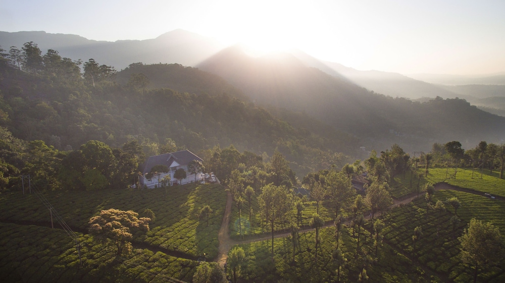 Tea Harvester Munnar 36/50