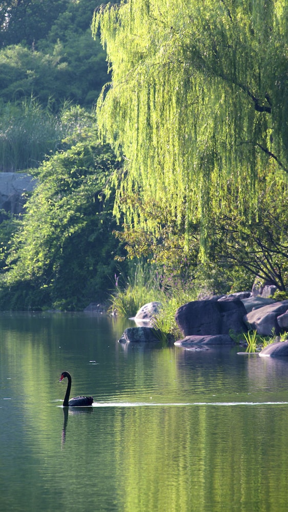 Jinji Lake Grand Hotel Club 51/57