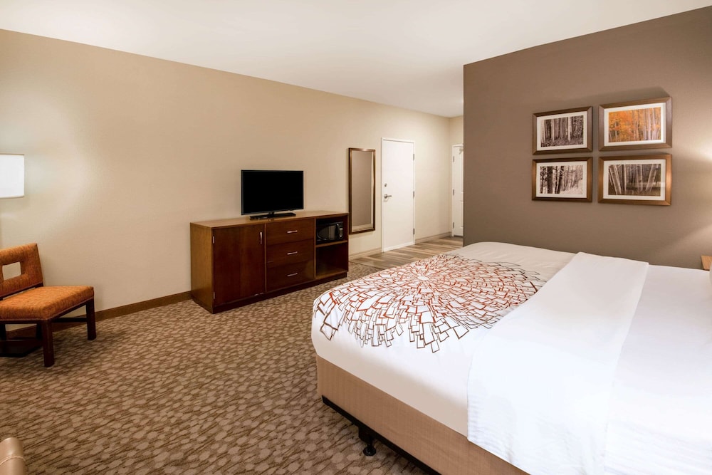 Room, King Bed