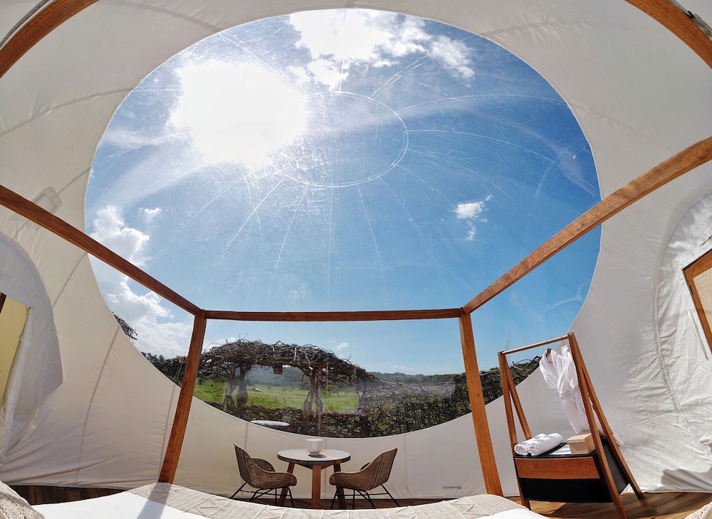 Green Land Bubble Glamping 37/60