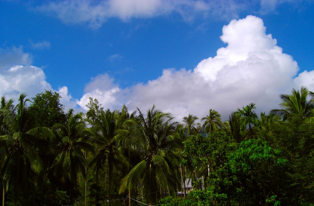 Samui Villa Whitney 43/51