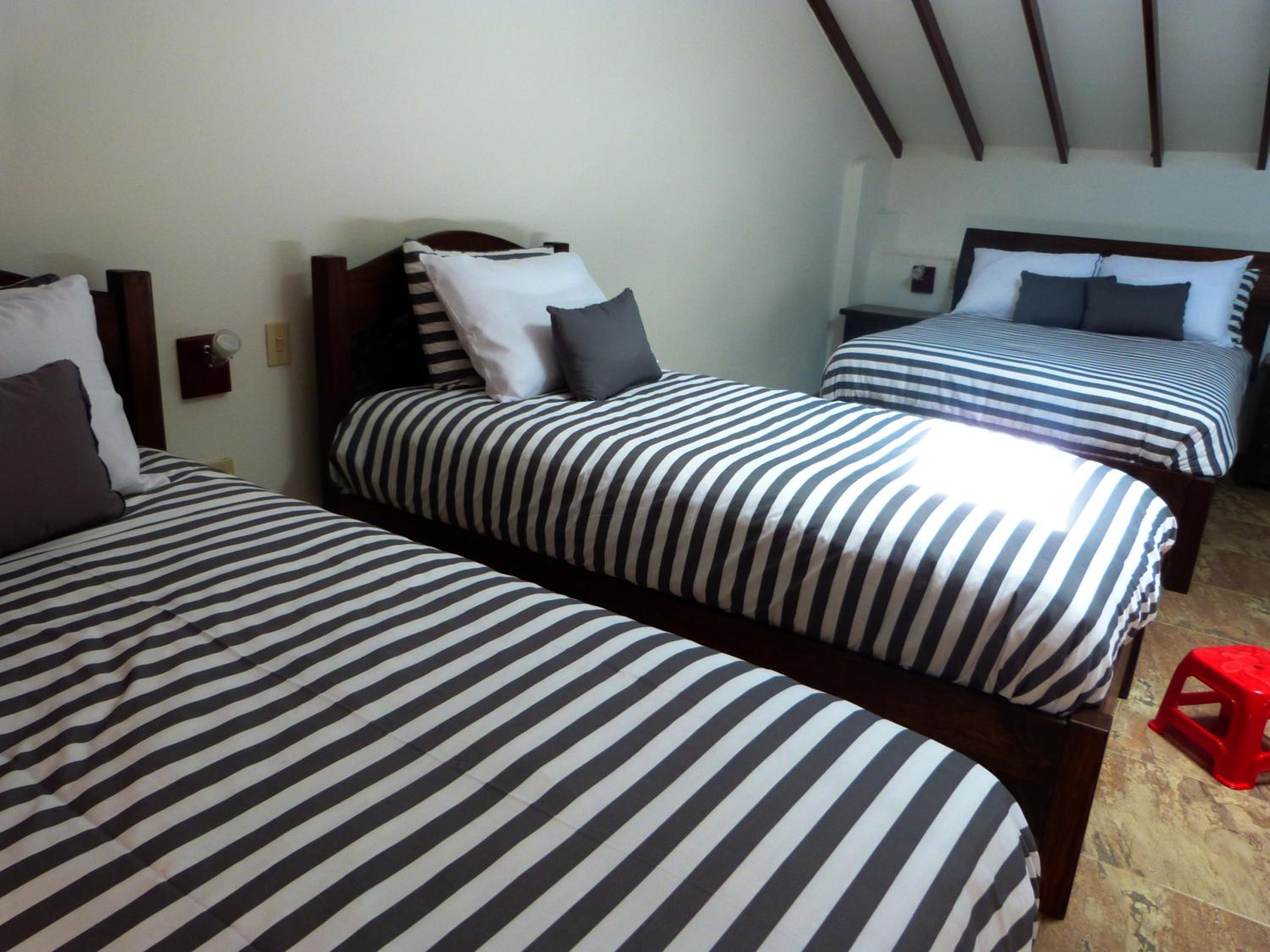 Villa Pepita Real 15/50