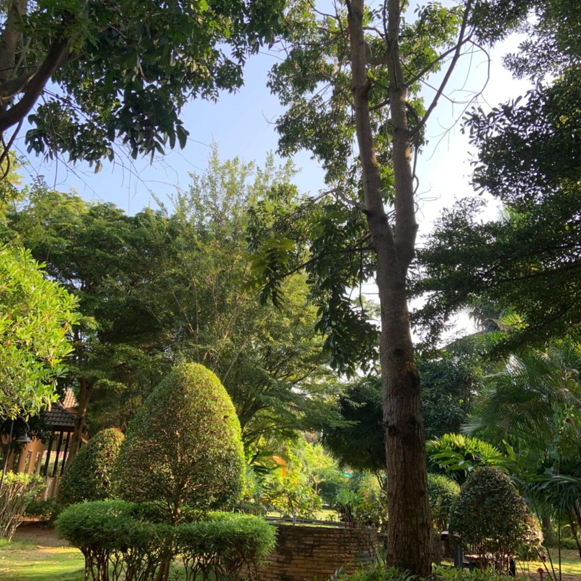 Khao Yai Cottage 72/81