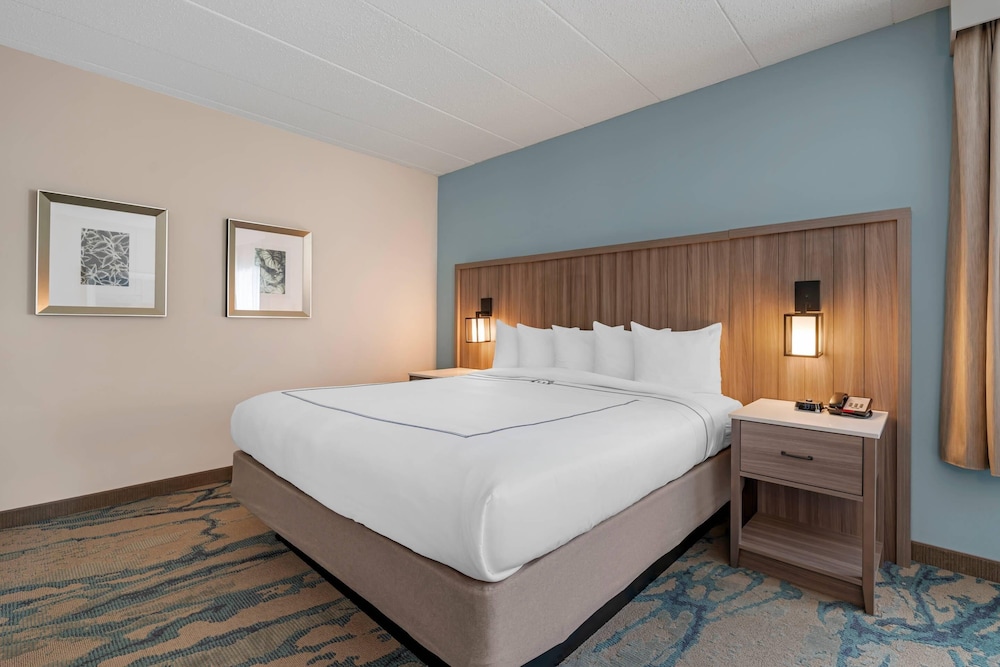 Upgrade, Efficiency, Suite, King Bed, 2 Sofa