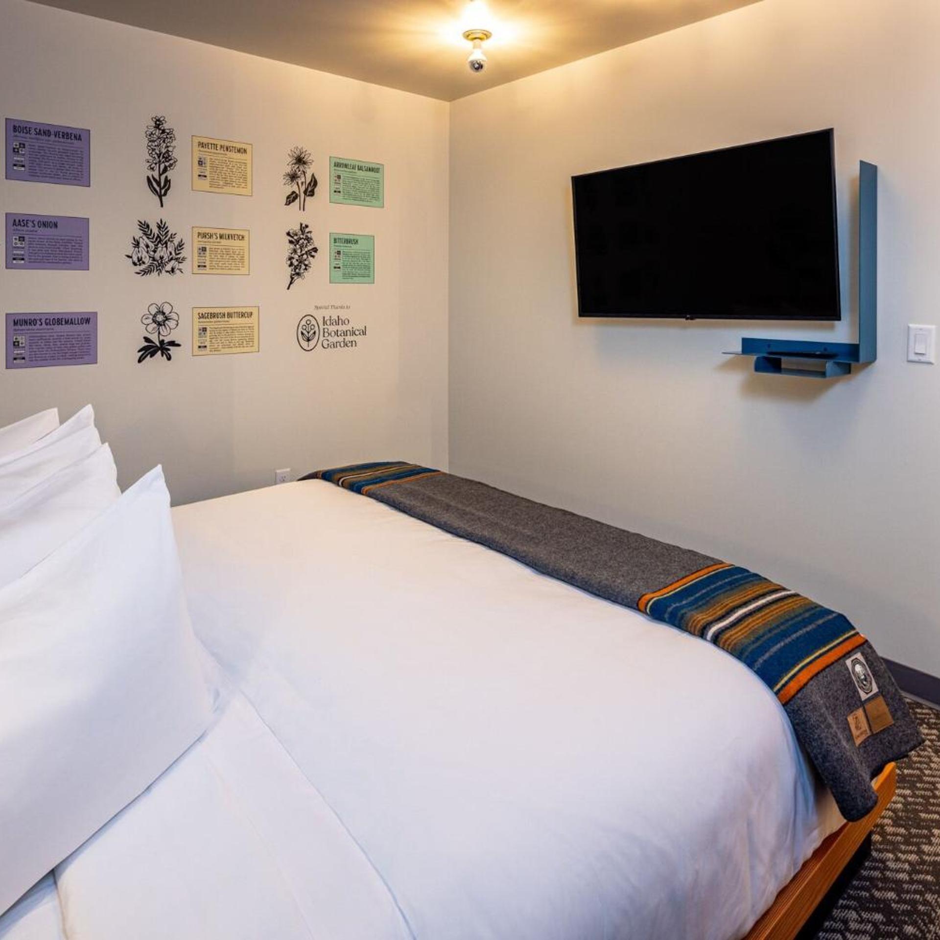 Superior, Suite, King Bed