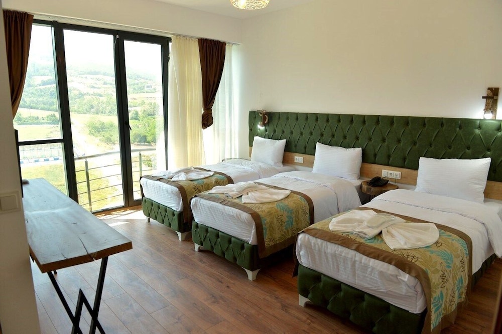 Samsun Palas Hotel 6/33