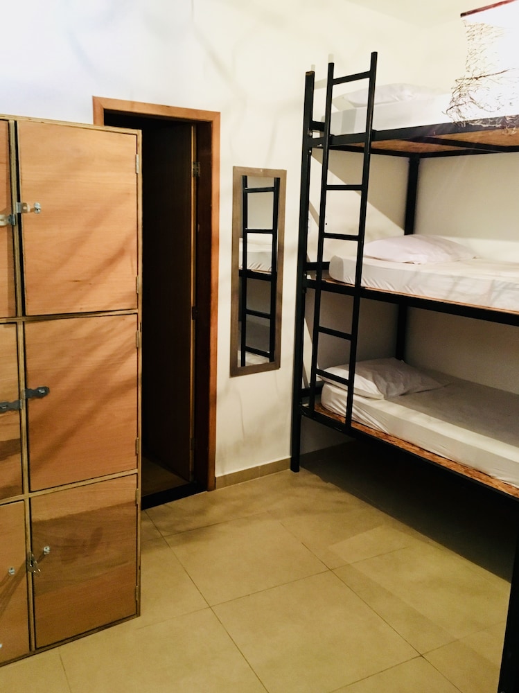 Hostel A Coroa photo3