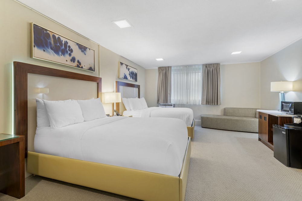Efficiency, Suite, 2 Double Beds