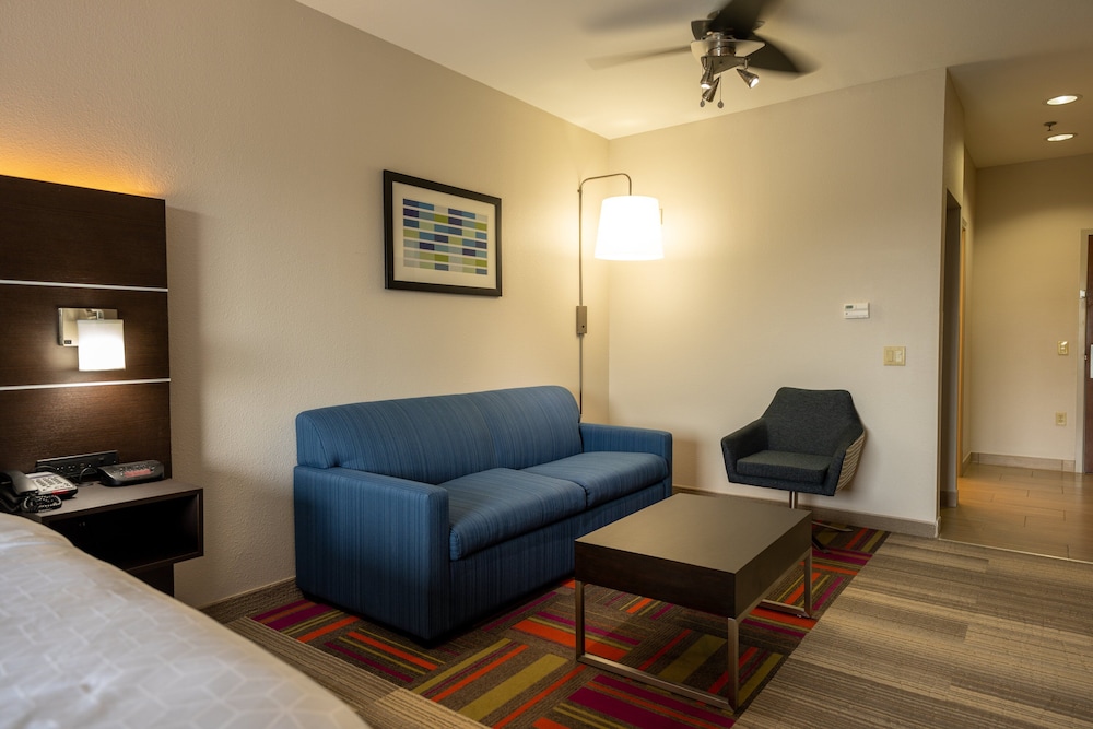 Holiday Inn Express Hotel Suites Deer Park 22/44