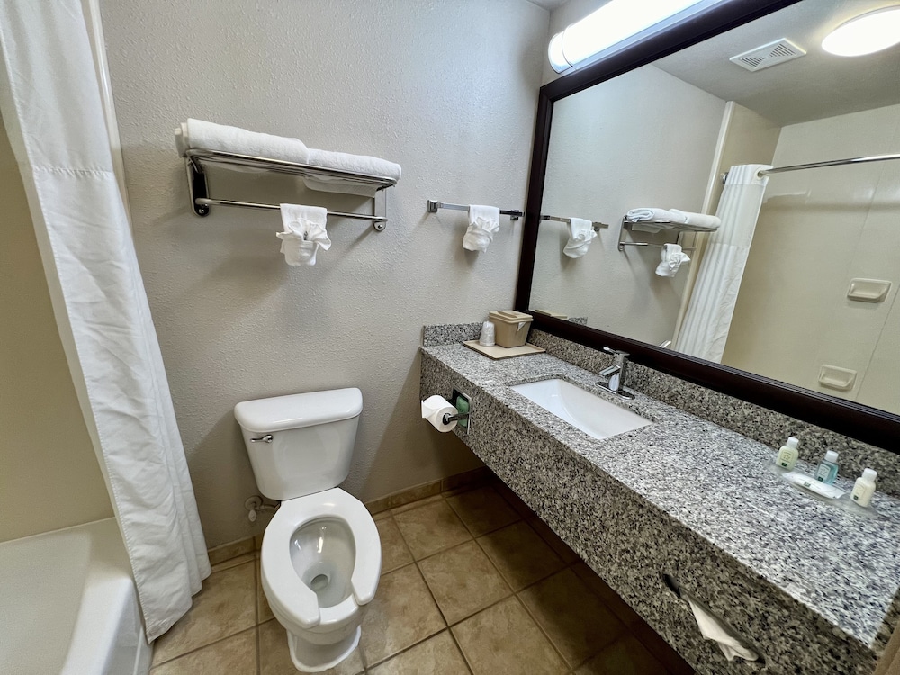Quality Inn and Suites Near University 38/39