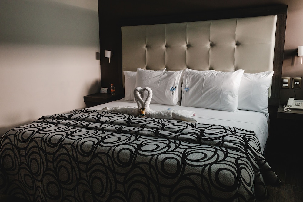 Hotel Flamingo Merida 28/51