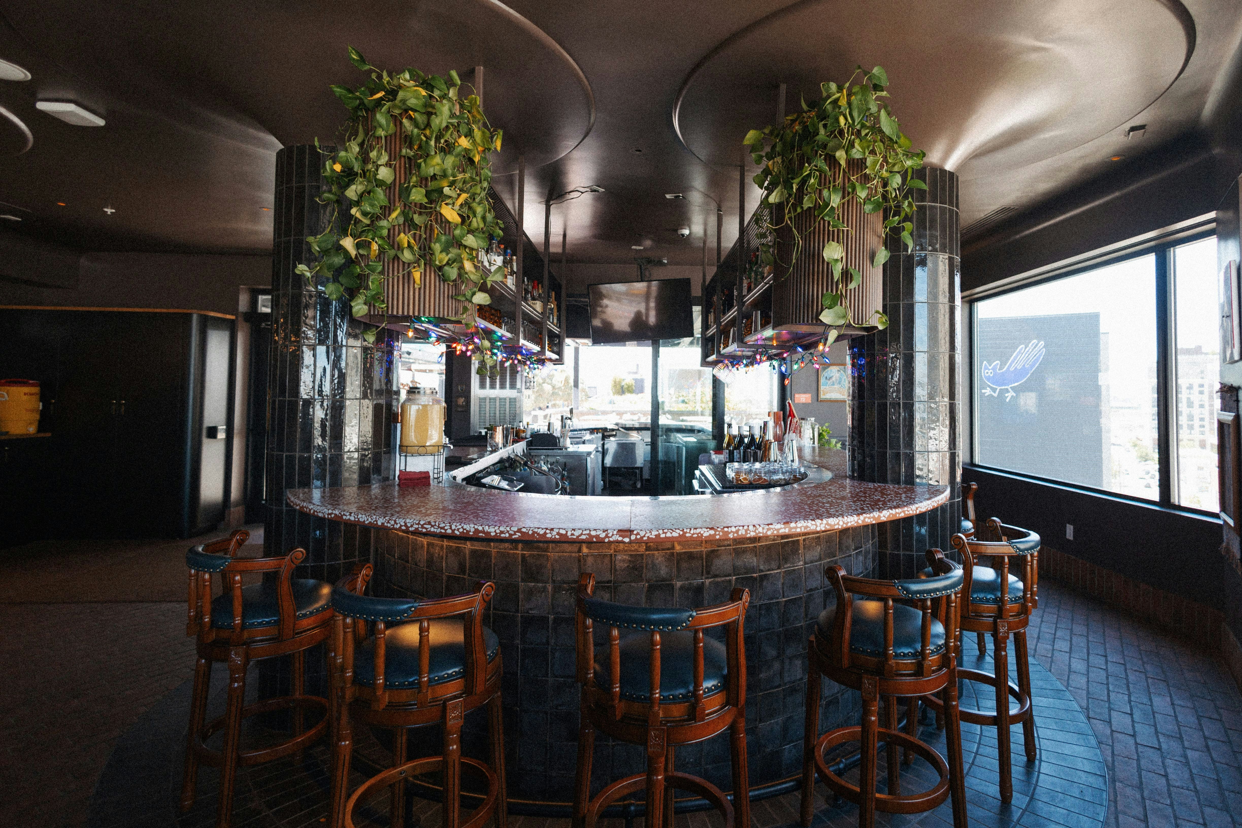 Catbird Hotel 30/50