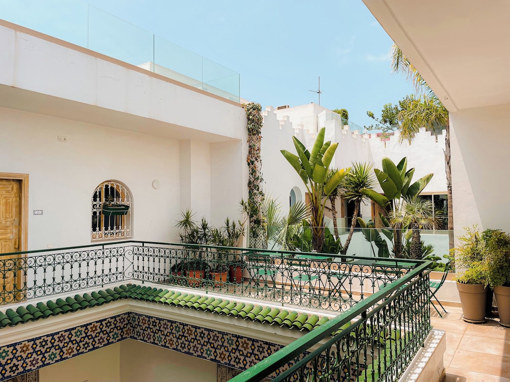 Riad Zyo 1/50
