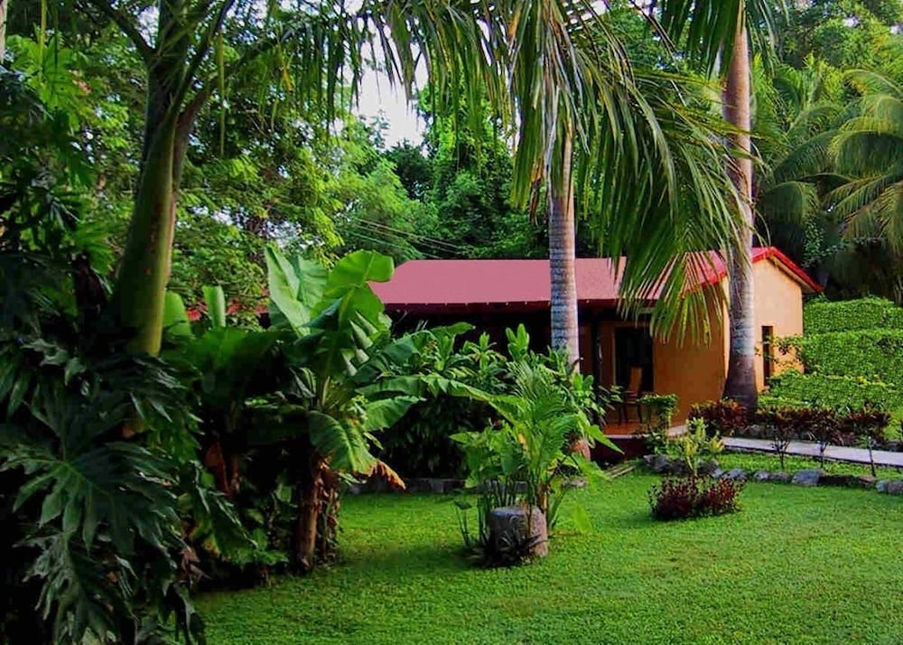 surroundings