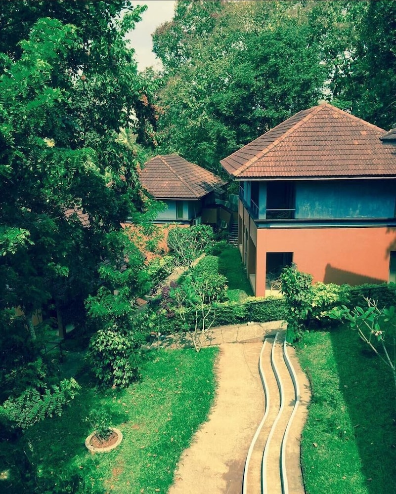 Abad Green Forest 43/50