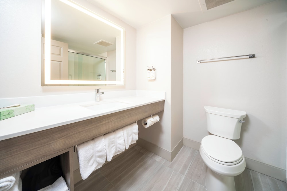 Holiday Inn Express Hotel Suites Atlanta Johns Creek 63/64